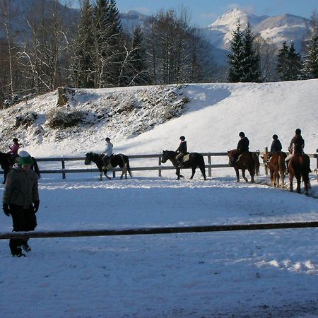 Reiterhof Suassbauer Villa Sankt Wolfgang im Salzkammergut Ngoại thất bức ảnh