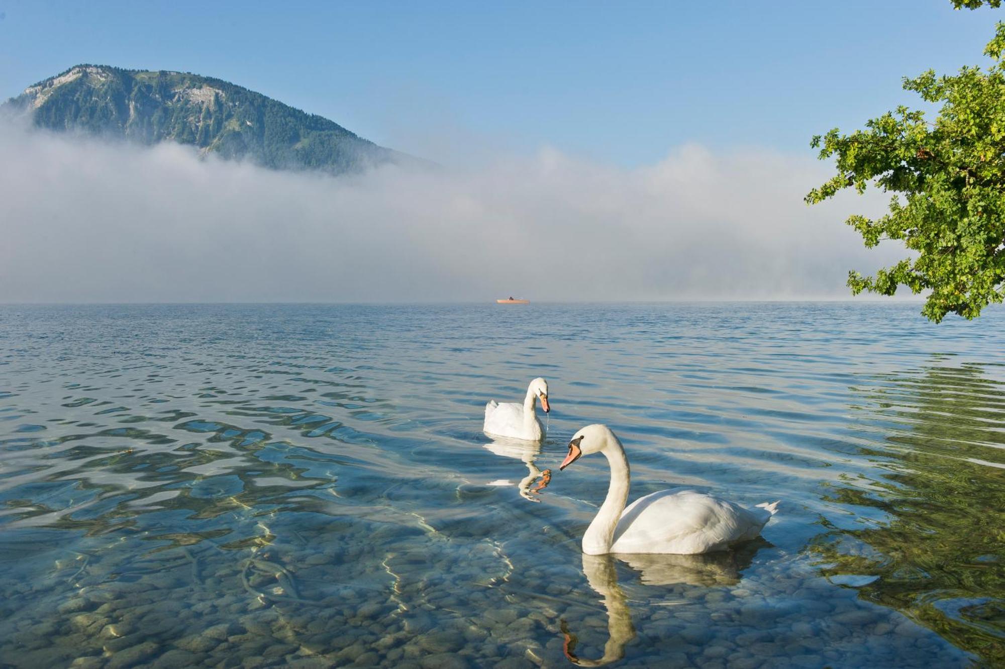 Reiterhof Suassbauer Villa Sankt Wolfgang im Salzkammergut Ngoại thất bức ảnh