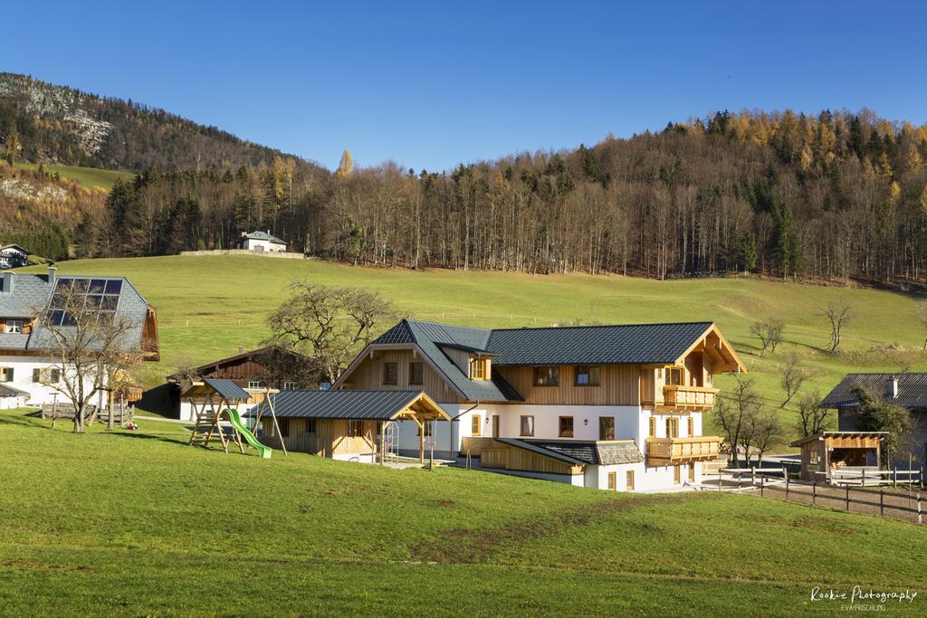 Reiterhof Suassbauer Villa Sankt Wolfgang im Salzkammergut Ngoại thất bức ảnh