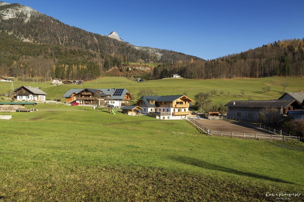 Reiterhof Suassbauer Villa Sankt Wolfgang im Salzkammergut Ngoại thất bức ảnh