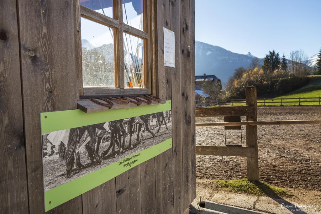 Reiterhof Suassbauer Villa Sankt Wolfgang im Salzkammergut Ngoại thất bức ảnh