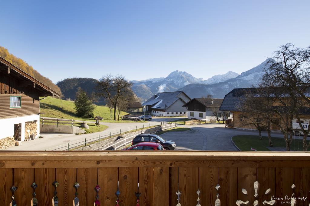 Reiterhof Suassbauer Villa Sankt Wolfgang im Salzkammergut Phòng bức ảnh